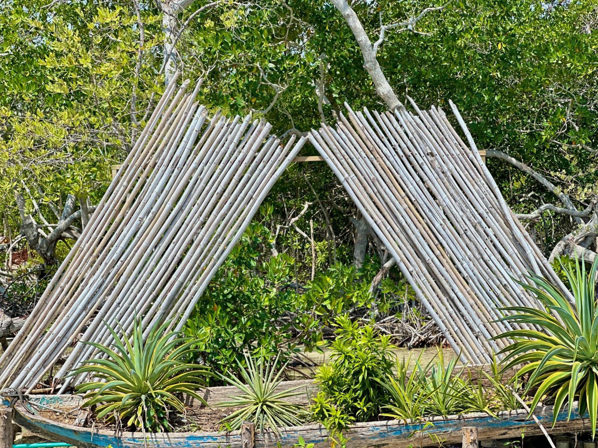 Medusa Hostel Isla Tintipan Tintipan Island Buitenkant foto