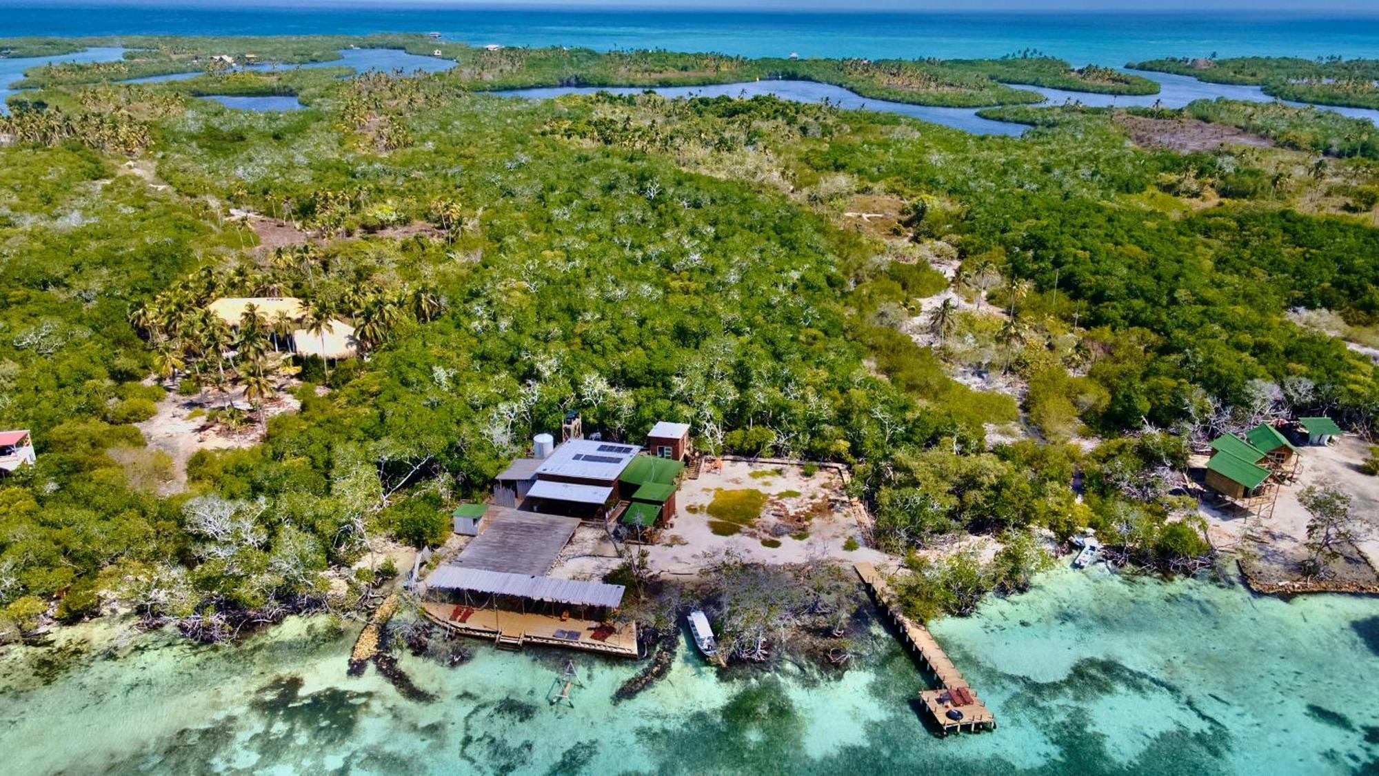 Medusa Hostel Isla Tintipan Tintipan Island Buitenkant foto