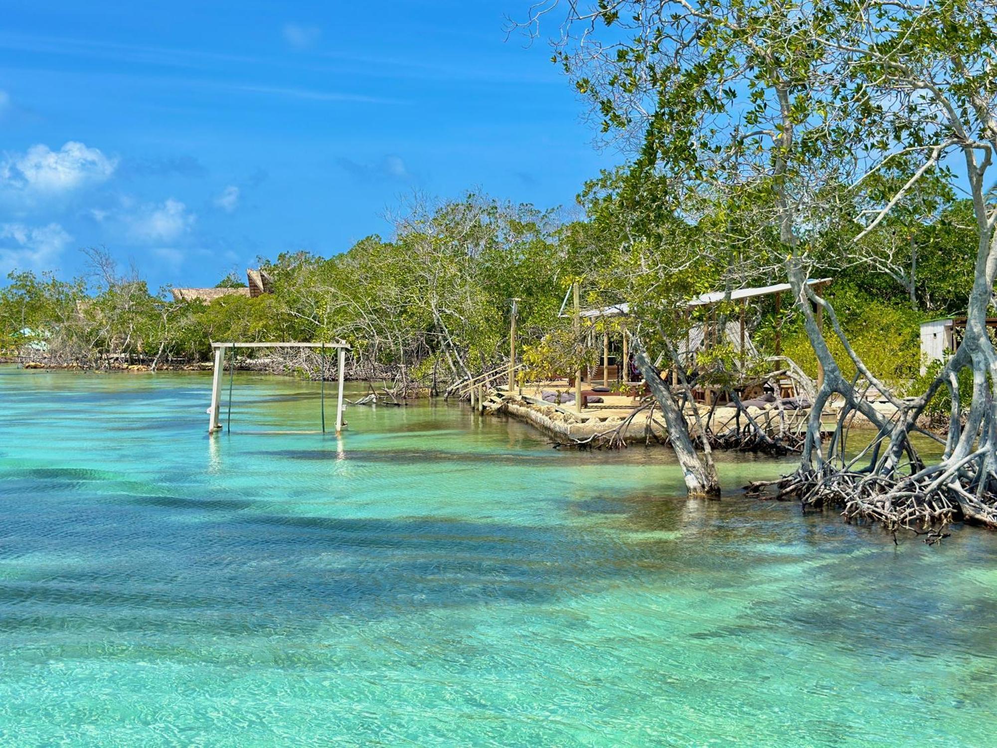 Medusa Hostel Isla Tintipan Tintipan Island Buitenkant foto
